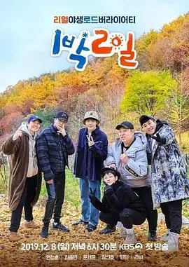 明星大侦探9 综艺 2025 芒果TV